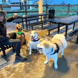 David M. Sonka Dog Park and Westcreek Disc Golf Course - My pups...