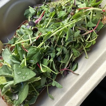 Evergreen Coffee - Green Toast ToGo - Coffee & Tea Near Me - Henderson, Nevada