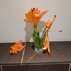 Pinoy - Frische Blumen auf dem Herren-WC