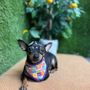 ITZI'S Grooming & Boutique