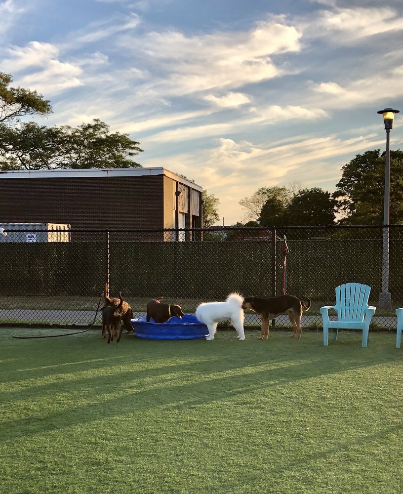 WANTAGH PARK DOG RUN Updated September 2024 13 Photos & 10 Reviews