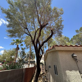 Sierra View Landscape - After side yard trim. - Landscaping Near Me Sierra View Landscape - After side yard trim. - Landscaping Near Me