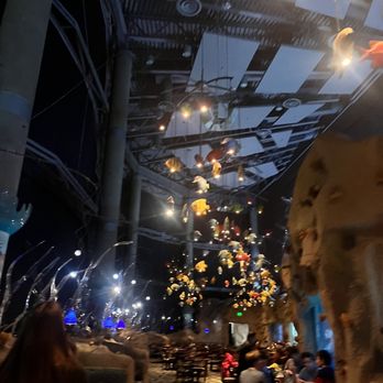 Downtown Aquarium - Dining area - Museums Near Me - Denver, Colorado Downtown Aquarium - Dining area - Museums Near Me - Denver, Colorado