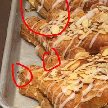 Panera Bread - I came into the restaurant and there was a colony of an flies all over the pastries ready to sell to customers - Sandwiches Near Me - North Port, Florida Panera Bread - I came into the restaurant and there was a colony of an flies all over the pastries ready to sell to customers - Sandwiches Near Me - North Port, Florida