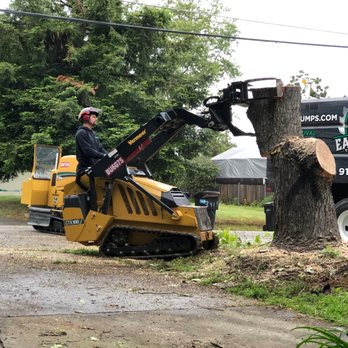 Easy Stumps Tree Services - Using the right equipment - Tree Services Near Me - Folsom, California Easy Stumps Tree Services - Using the right equipment - Tree Services Near Me - Folsom, California