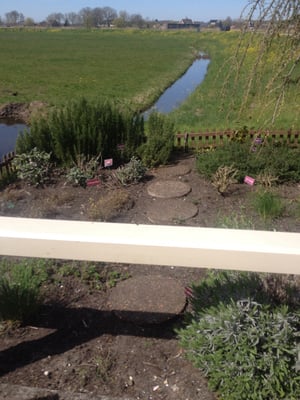 Restaurant de Voetangel by null