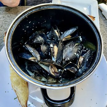 Testa's Bar & Grill - MDI Mussels in Scampi Sauce - Seafood Near Me - Bar Harbor, Maine Testa's Bar & Grill - MDI Mussels in Scampi Sauce - Seafood Near Me - Bar Harbor, Maine