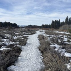 Lam Watah Trail to NV Beach - Pond path from the trailhead. You can use this path or the other which is paved (towards the left).