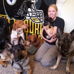 Paw & Order Dog Training