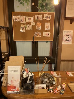 mipig cafe Harajuku by null