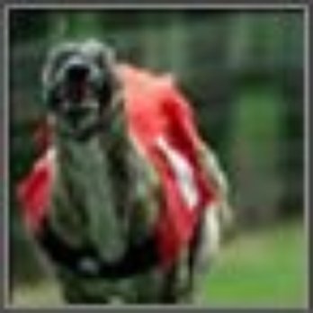 Shelbourne Park Greyhound Stadium - picture from website - Sports Clubs Near Me - Dublin, D