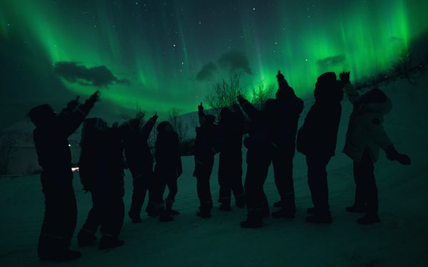 Chasing Lights by null