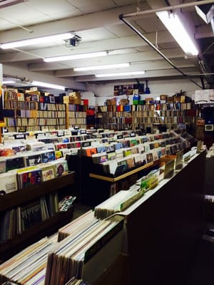 Jerry's Records by null