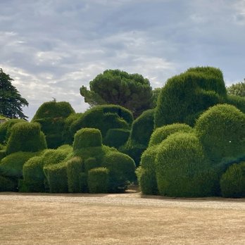 Rockingham Castle - Rockingham Castle gardens - Elephant hedge - Landmarks & Historical Buildings Near Me - Market Harborough, LEC Rockingham Castle - Rockingham Castle gardens - Elephant hedge - Landmarks & Historical Buildings Near Me - Market Harborough, LEC