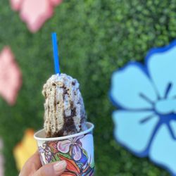 Aloha Ice - The float