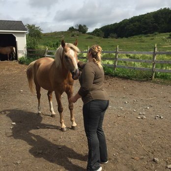 Reiki With Amy - Reiki Near Me Reiki With Amy - Reiki Near Me