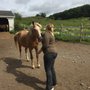 Photo of Reiki With Amy