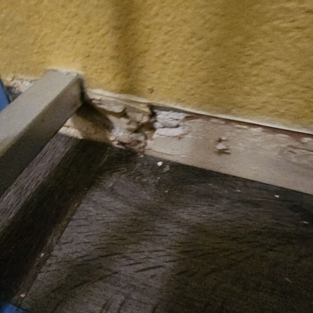 All American Restoration - Damage Restoration Near Me All American Restoration - Damage Restoration Near Me