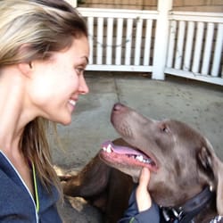 Happy Tails - Hanging with Ellie.
