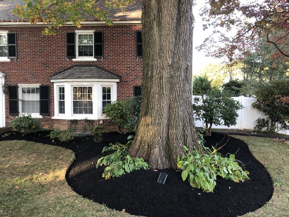 Green Tree Property Care & Maintenance - tree service in Harrisburg, PA