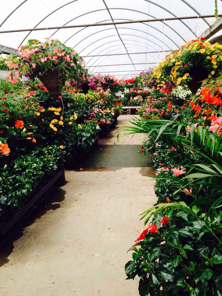 CIERECH GREENHOUSES Updated October 2024 12 Reviews 23 Winters Rd