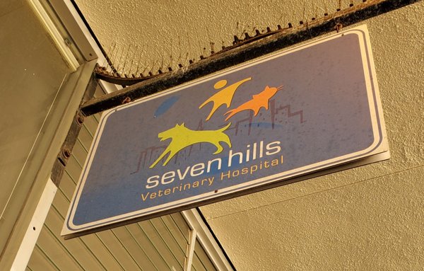 seven hills veterinary