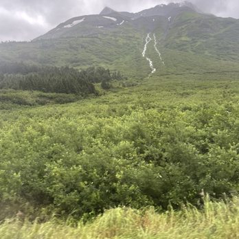 Alaska Railroad - Transportation Near Me - Seward, Alaska