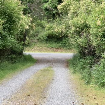 Evergreen Landscape & Construction - Sides of road not mowed/trimmed - Lawn Services Near Me - Oak Harbor, Washington Evergreen Landscape & Construction - Sides of road not mowed/trimmed - Lawn Services Near Me - Oak Harbor, Washington