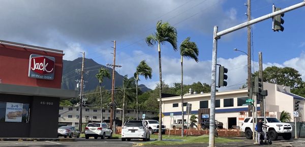 Fresh Catch Kaneohe by null