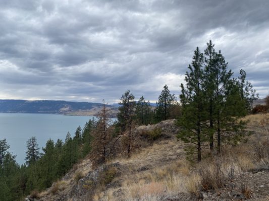 Kalamalka Lake Provincial Park by null