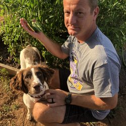 Fix Handyman Services - Pet friendly and occasional gardener