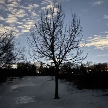 Rice Creek Off-Leash Dog Area - 24 hrs later, 8:30pm. It's icier - Dog Parks Near Me - Shoreview, Minnesota Rice Creek Off-Leash Dog Area - 24 hrs later, 8:30pm. It's icier - Dog Parks Near Me - Shoreview, Minnesota
