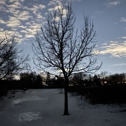 Rice Creek Off-Leash Dog Area - 24 hrs later, 8:30pm. It's icier