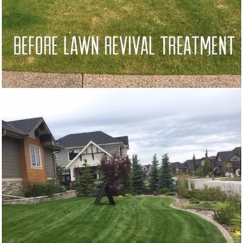 Lawn Revival - Lawn Revival It Works! - Landscaping Near Me