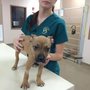 Photo of Rothman Animal Hospital