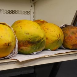 Farmers Big 7 Market - Papayas