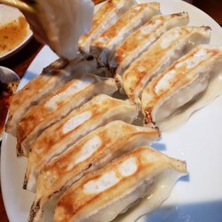 Photo of 原宿餃子樓 - Shibuya, 13, JP. pan fried dumplings. pork and cabbage. nothing special.