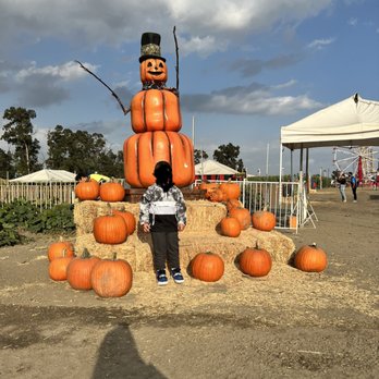 Frosty's Forest Pumpkin Patch - Pumpkins everywhere.. - Attraction Farms Near Me - Chino, California Frosty's Forest Pumpkin Patch - Pumpkins everywhere.. - Attraction Farms Near Me - Chino, California
