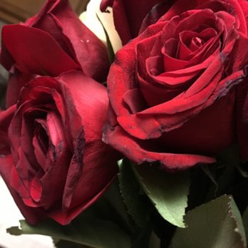 Most Unique Flowers - Definitely not fresh flowers, look at the black color on the petals. - Florists Near Me - Los Angeles, California Most Unique Flowers - Definitely not fresh flowers, look at the black color on the petals. - Florists Near Me - Los Angeles, California
