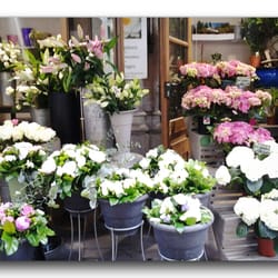 Presqu'île Fleurs - Le bonheur est dans le pré!