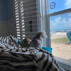 Geez we wished we were riding on the golf cart from Beach Bum Carts
