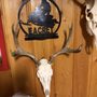 Koyoty Sports & Trophy Room Taxidermy