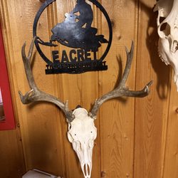 Koyoty Sports & Trophy Room Taxidermy
