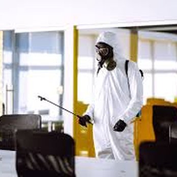 Clean Bee Cleaning Services - Home Cleaning Near Me - Butler, Pennsylvania Clean Bee Cleaning Services - Home Cleaning Near Me - Butler, Pennsylvania