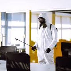 Clean Bee Cleaning Services