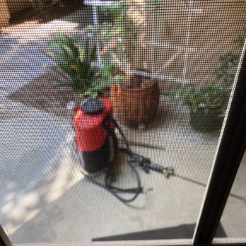 Preferred Pest Control Orange County - Richard de-webbing & prepping for the outdoor service! - Pest Control Near Me - Fountain Valley, California