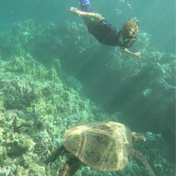 Maui Kayaks - My son snorkeling with the sea turtles - Rafting/Kayaking Near Me Maui Kayaks - My son snorkeling with the sea turtles - Rafting/Kayaking Near Me