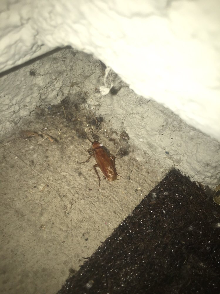 STONE GATE APARTMENTS Apartments 5417 Mack Rd, Sacramento, CA