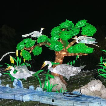 Glowfari - Zoos Near Me - Oakland, California Glowfari - Zoos Near Me - Oakland, California