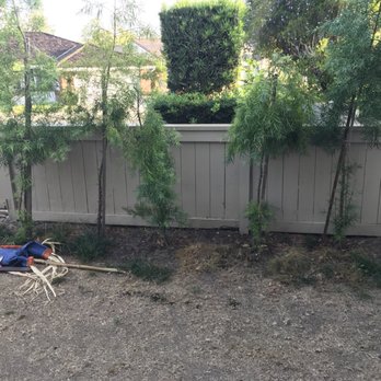 Premier Builders and Hardscape - A "before" pic... here lies the dead scarecrow who gave up on life from sheer trauma of looking at our yard - Landscaping Near Me Premier Builders and Hardscape - A "before" pic... here lies the dead scarecrow who gave up on life from sheer trauma of looking at our yard - Landscaping Near Me